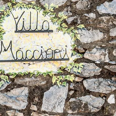 Maccioni Monsummano Terme